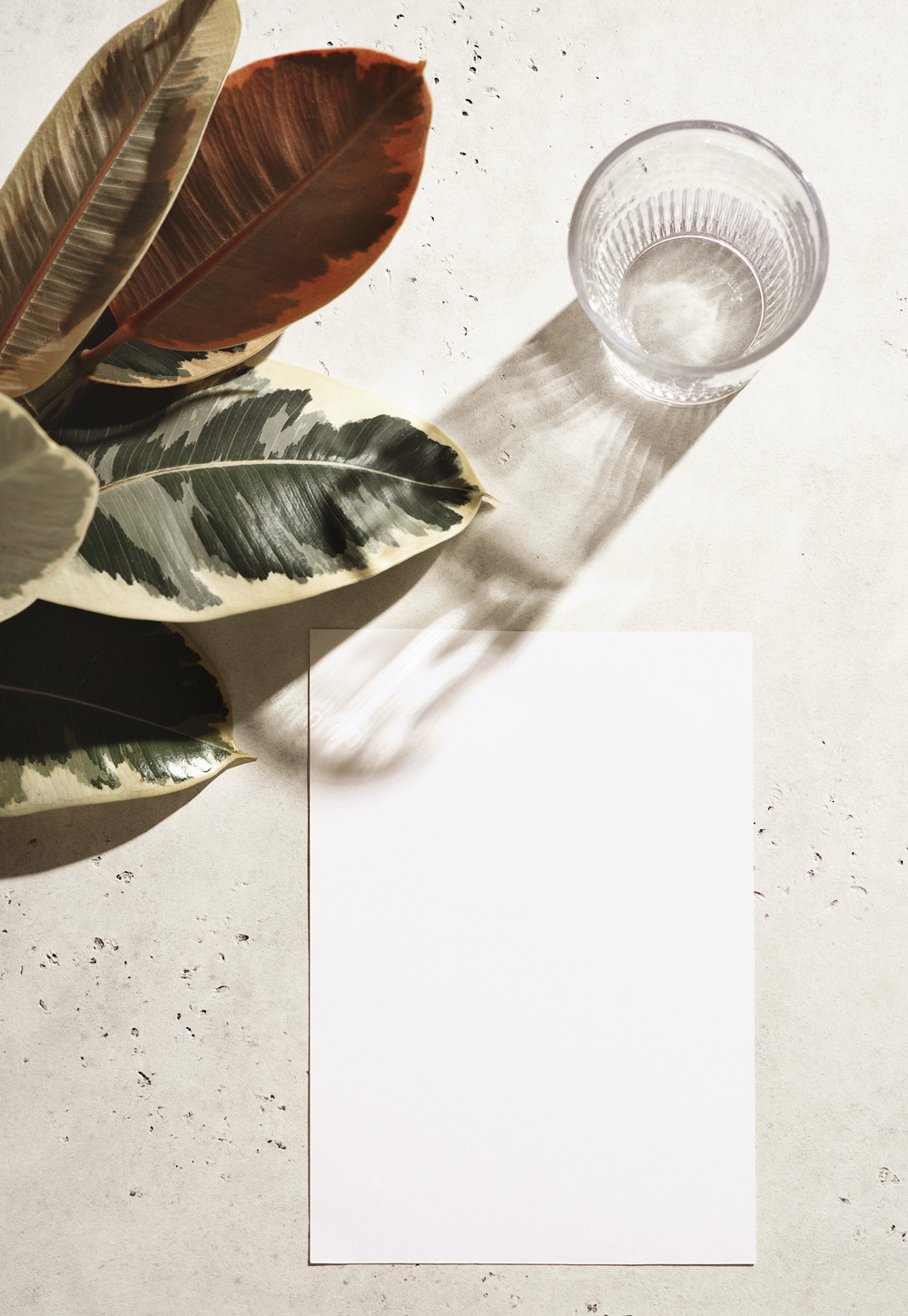 rebhuhn-immo-karriere